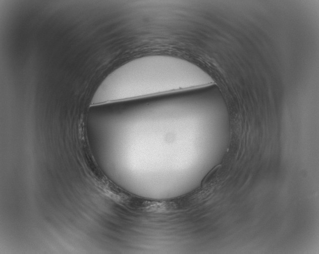 X0000076440083200610061036