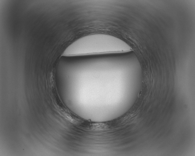 X0000076440087200610061036