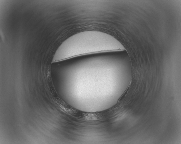 X0000076440091200610061036