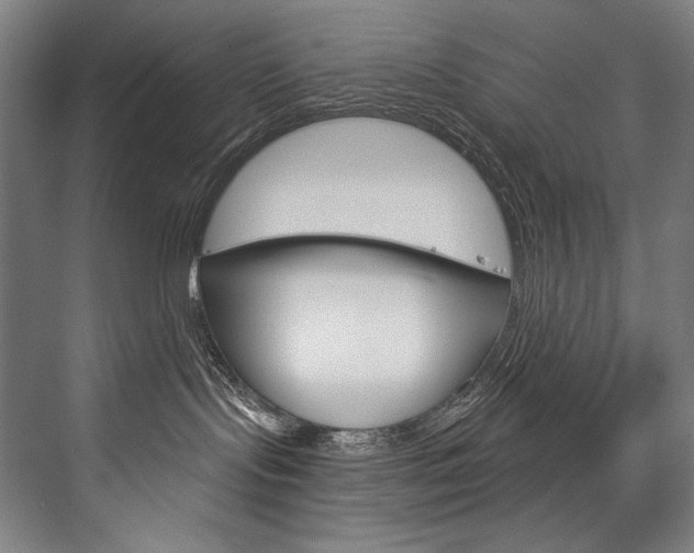 X0000076440095200610061036