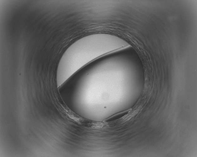 X0000076440096200610061036