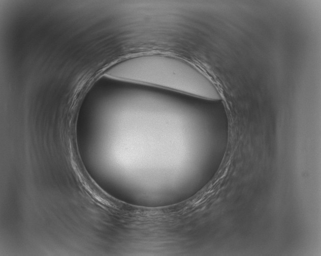 X0000076440097200610061036