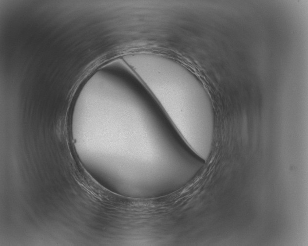 X0000076440099200610061036
