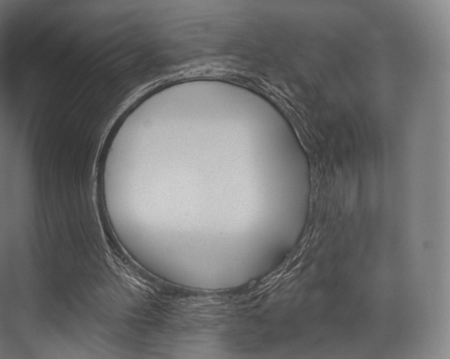 X0000076440100200610061036
