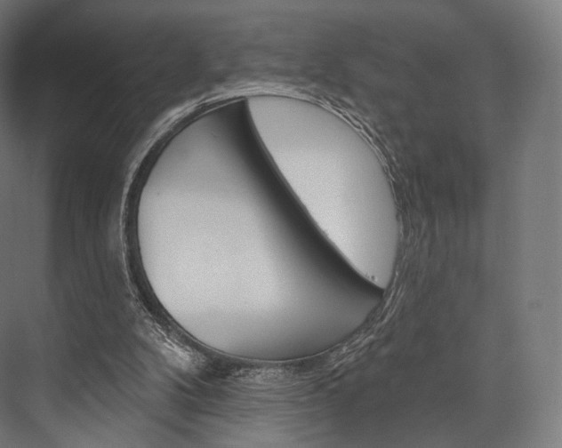 X0000076440104200610061035