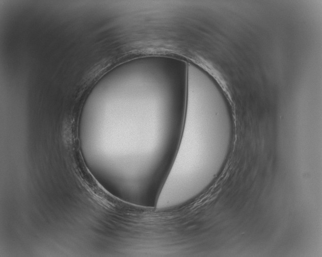 X0000076440105200610061035