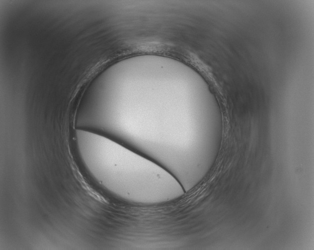 X0000076440106200610061035