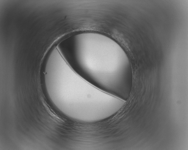 X0000076440108200610061035