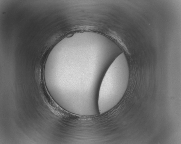 X0000076440110200610061035