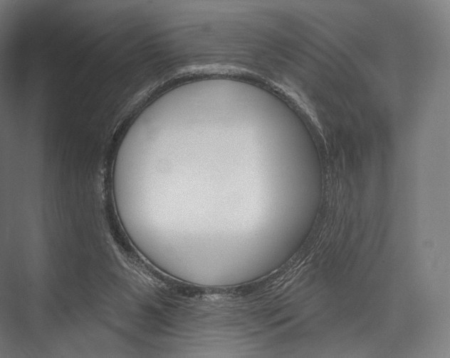 X0000076440111200610061035