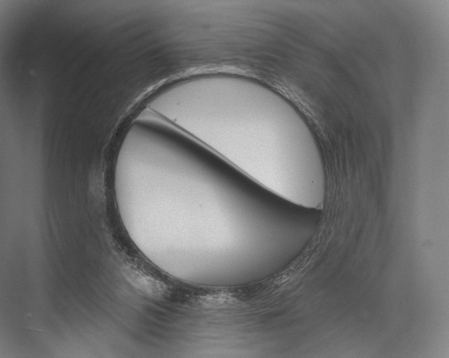 X0000076440112200610061035