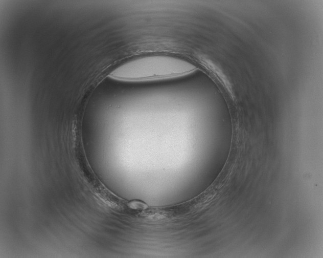 X0000076440113200610061035