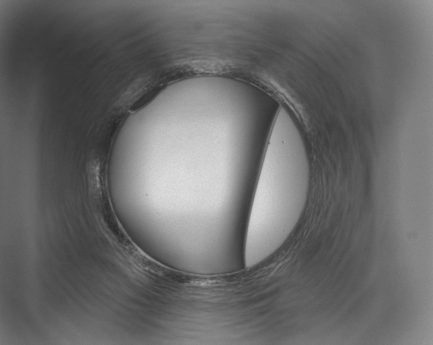 X0000076440117200610061035