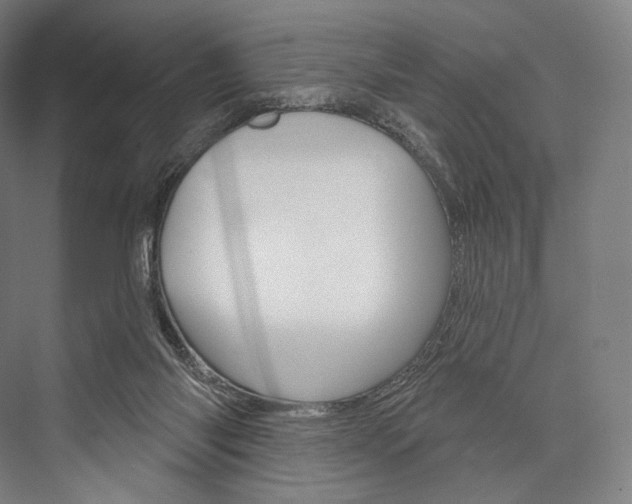 X0000076440118200610061035