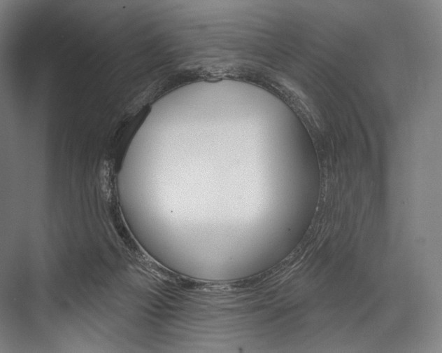 X0000076440121200610061035