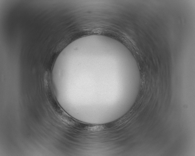 X0000076440122200610061035