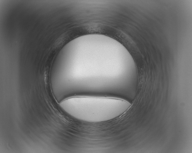X0000076440124200610061035