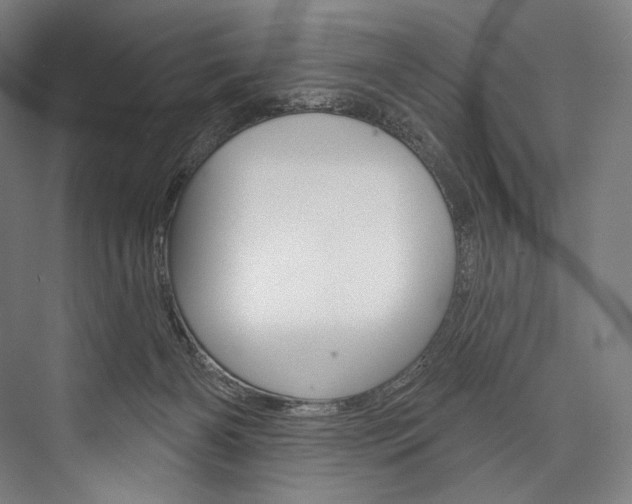 X0000076440126200610061035
