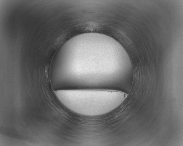 X0000076440127200610061035