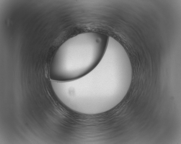 X0000076440129200610061035
