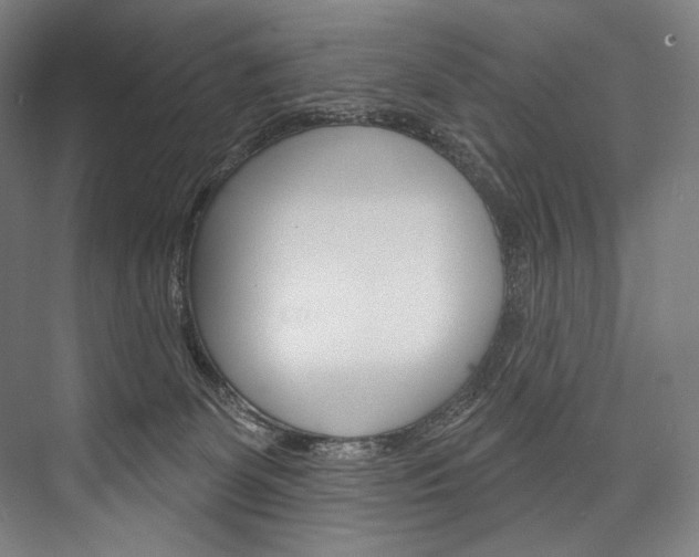 X0000076440131200610061035