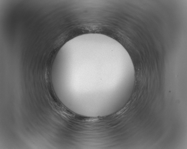X0000076440132200610061035