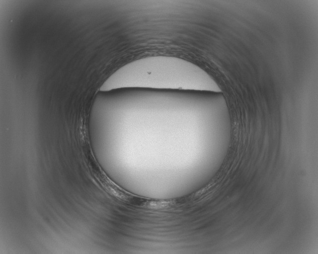 X0000076440134200610061035