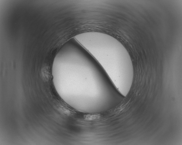 X0000076440135200610061035
