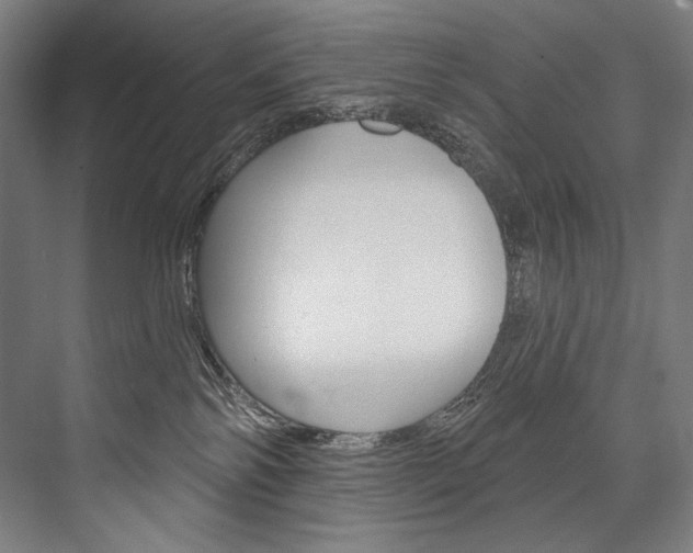 X0000076440138200610061035