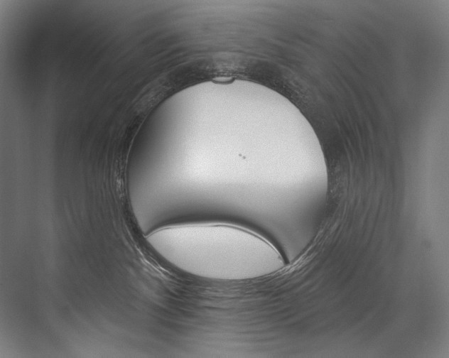 X0000076440140200610061035