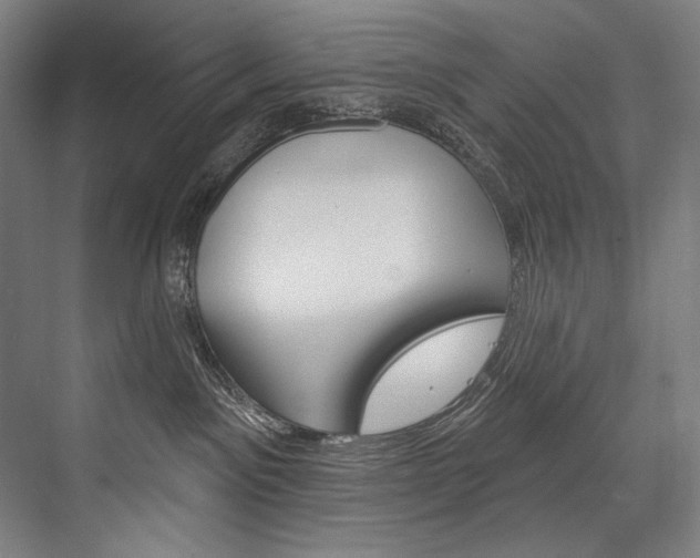 X0000076440141200610061035
