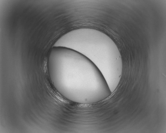 X0000076440142200610061035