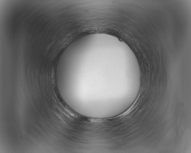 X0000076440144200610061035