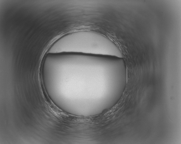 X0000076440147200610061034