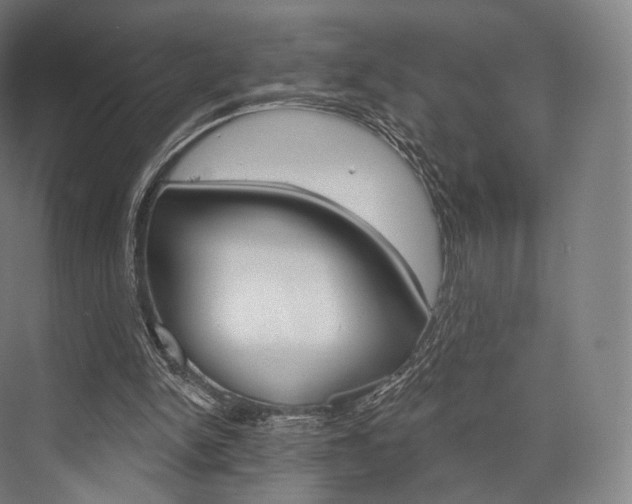 X0000076440150200610061034