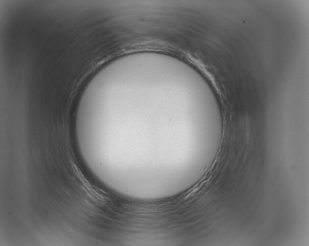 X0000076440154200610061034