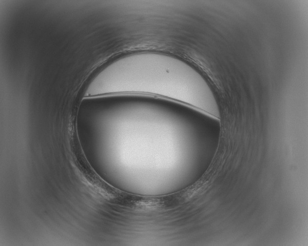 X0000076440164200610061034