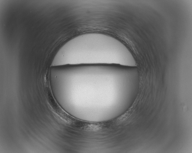 X0000076440166200610061034