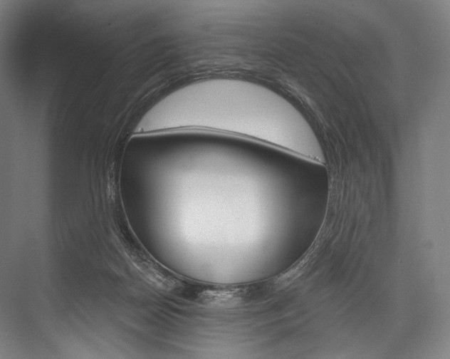 X0000076440170200610061034