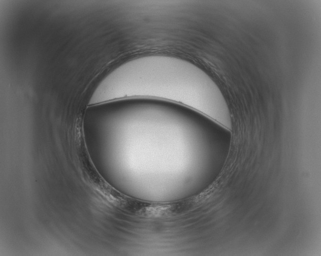 X0000076440172200610061034
