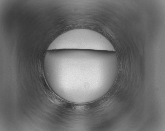 X0000076440173200610061034