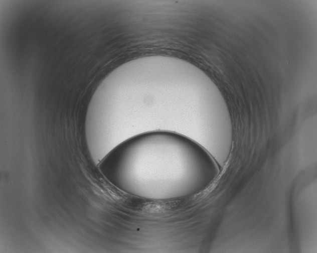 X0000076440174200610061034