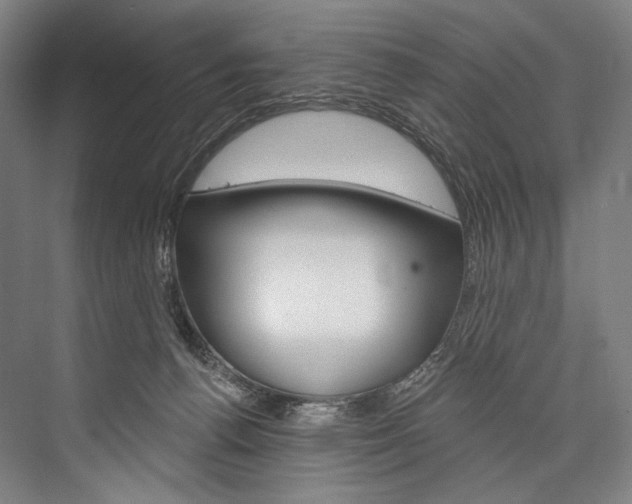 X0000076440176200610061034