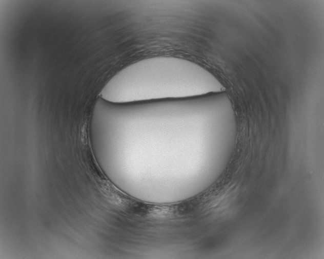 X0000076440177200610061034