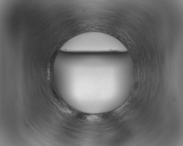 X0000076440183200610061035