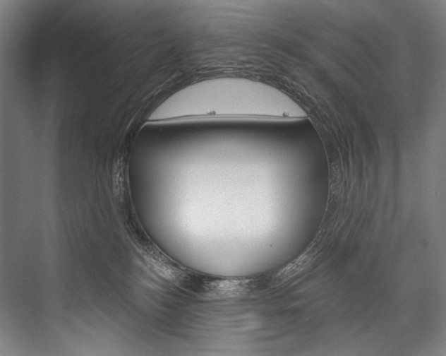 X0000076440184200610061035