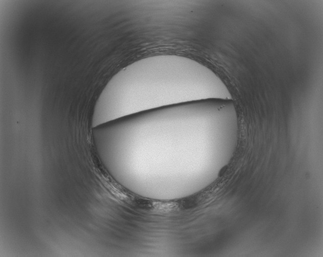 X0000076440185200610061035