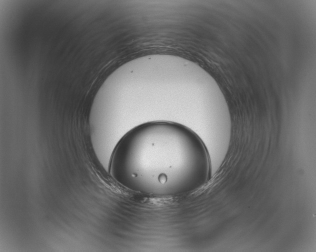 X0000076440188200610061035