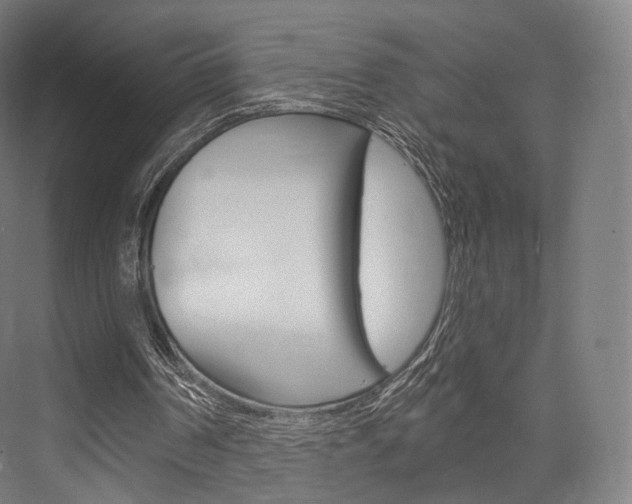 X0000076440194200610061034