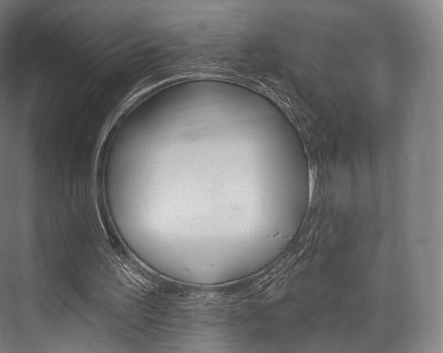 X0000076440195200610061034